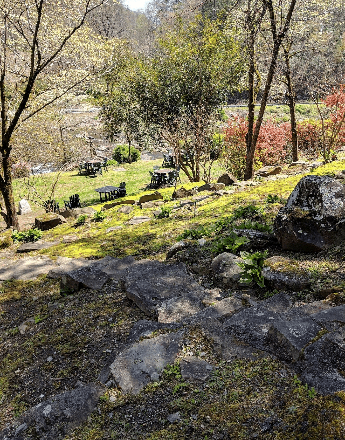 a rocky terrain well shaded by the canopy of the tall trees at the Riverside Lawn - Historic Tapoco Lodge