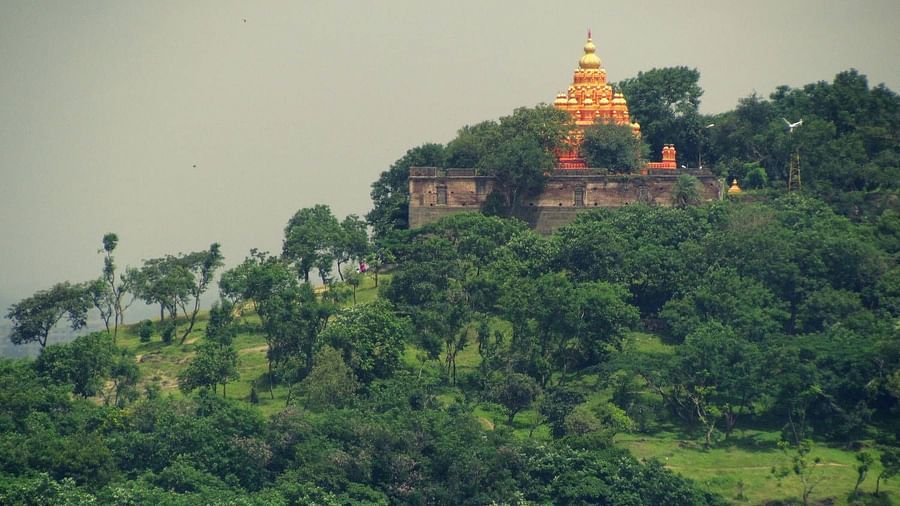 a temple amidst a forest