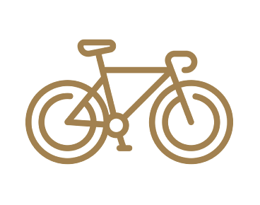 Bicycle brown corrected