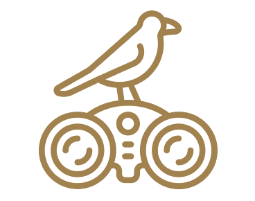 An icon of birdwatching