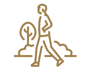 An icon of nature walk