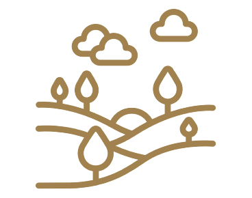 An icon of mountains with trees and sky