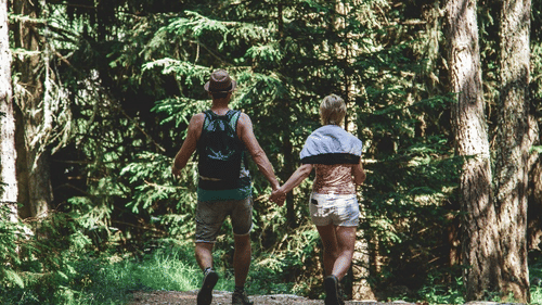 A couple walks hand in hand through a sunlit forest trail, surrounded by tall trees and lush green foliage.