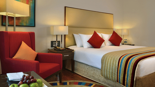 Deluxe Room Park Plaza Zirakpur 2