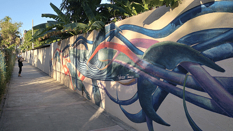 Zihua mural