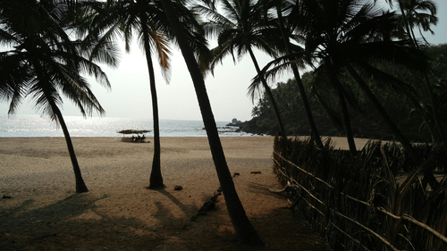 A view from Cabo De Rama Beach with coconut trees and a shack in view on the beacj.