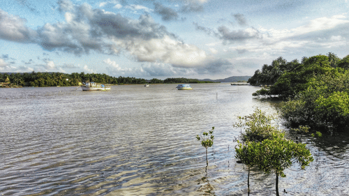 Serene river scene with boats and lush greenery under a cloudy sky.