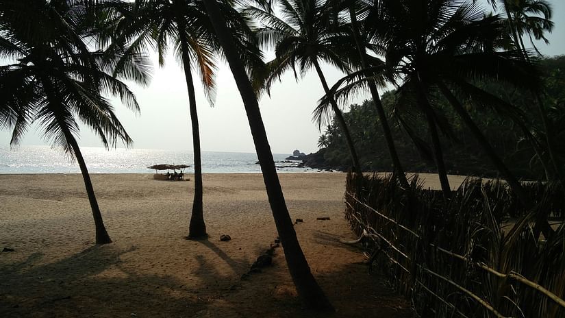 A view from Cabo De Rama Beach with coconut trees and a shack in view on the beacj.