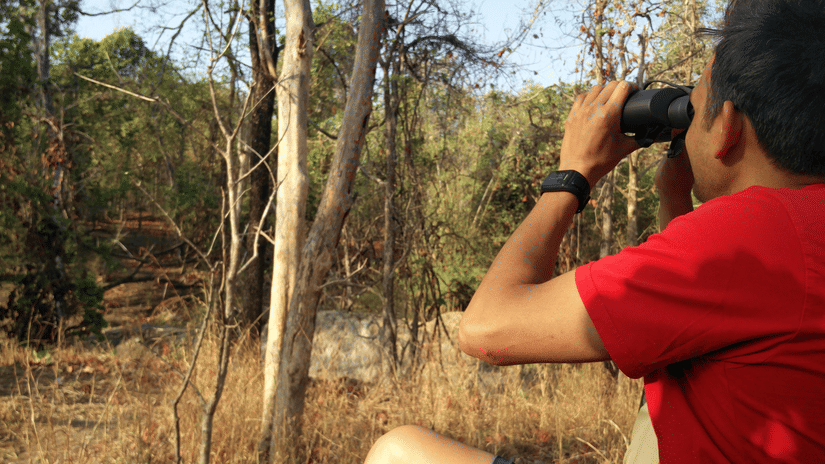 An image of a man sitting amidst the woods watching through binoculars