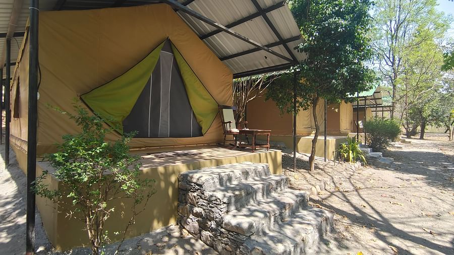 facade of a tent surrounded by trees - The Jamoon, Corbett