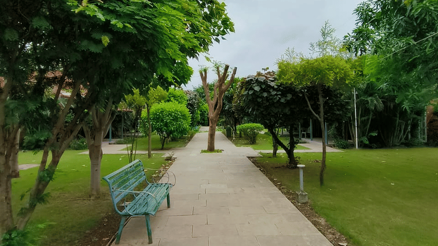 A straight pathway, lined with green trees and grass, leading into the distance with a blue bench visible on the left | Nandan Resort