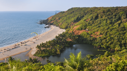 Golden sands at arambol beach