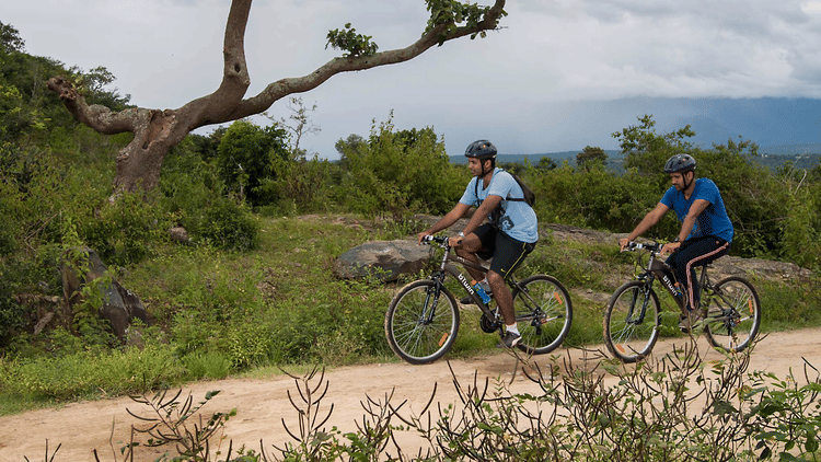 people riding bicycles