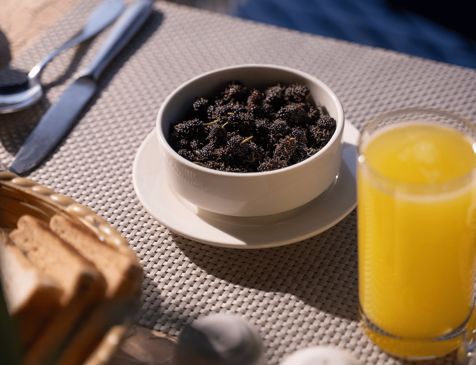 494945305 1229520029179435 5135109631944711074 n