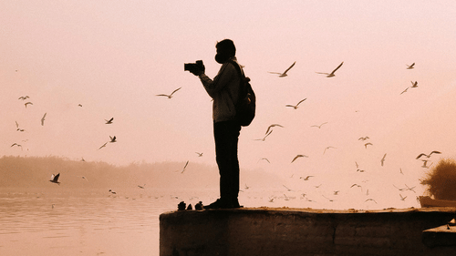 An image of a photographer clicking pictures of tourist places in Andaman and Nicobar islands specifically of birds