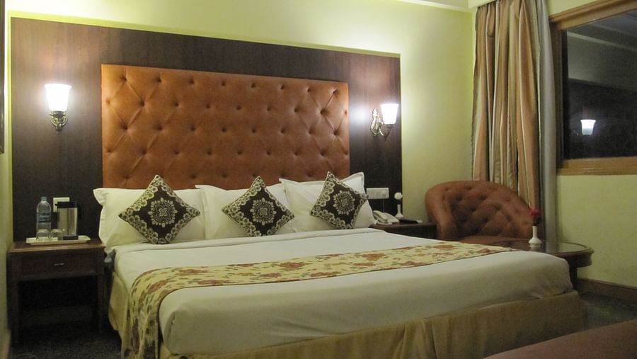 Hotel Ritz Plaza, Amritsar Amritsar Suite Double