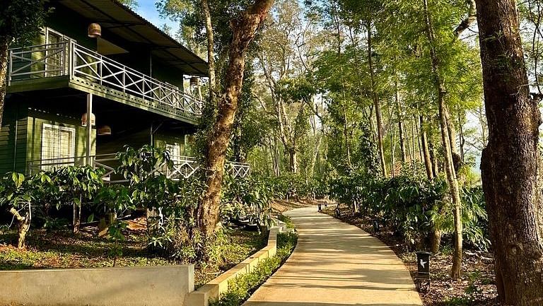 Walking Trail around the Luxe Cabins