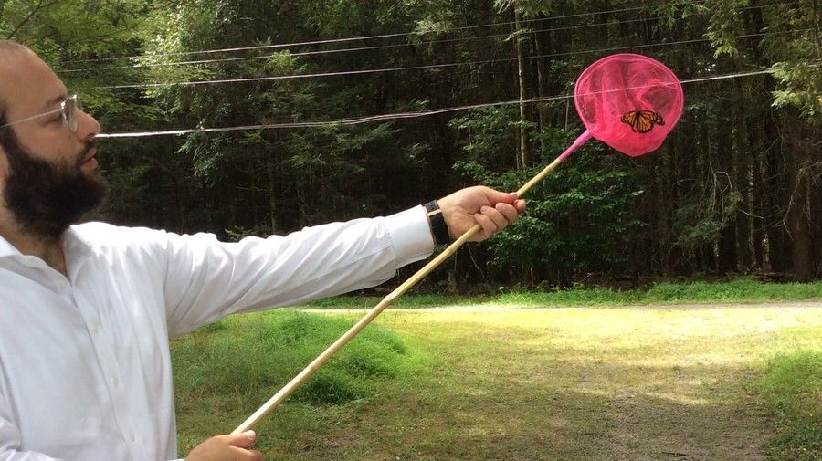 A person holding a long stick with a pink mesh net, standing outdoors on grass near a wooded area at YO1 Longevity & Health Resorts, Catskills