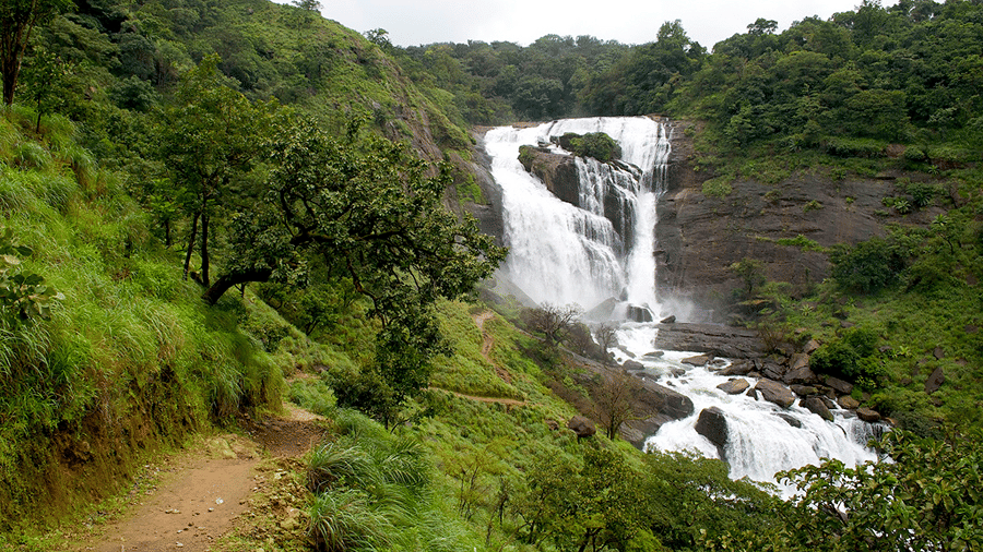 Mallalli Falls in a green forest near Somwarpet, Coorg