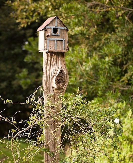 A wooden bird house surrounded by lush greenery at Brewery Gulch Inn & Spa
