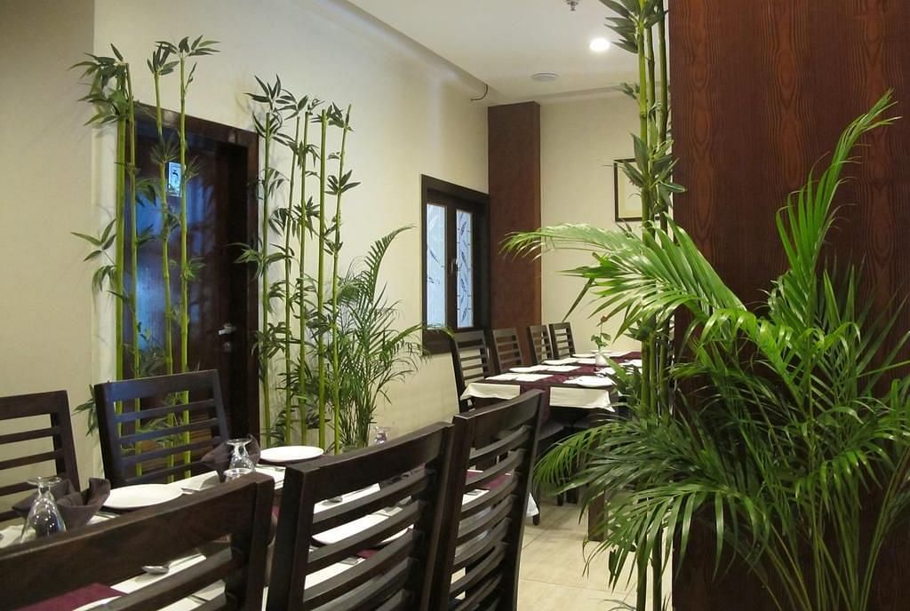 A clean and orderly restaurant interior featuring bamboo and palm plants, with set tables awaiting guests - TGI Apple Inn, Jaipur 