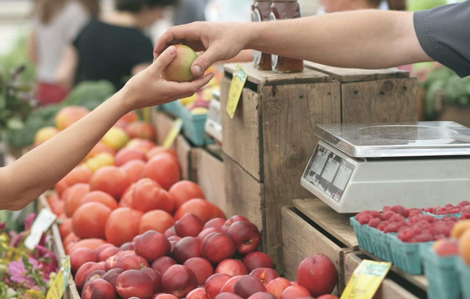 A customer's hand reaches to receive a fresh apple at a vibrant farmers market stall filled with colourful produce.