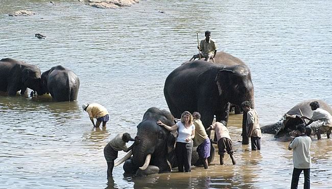 Dubare Elephant Camp