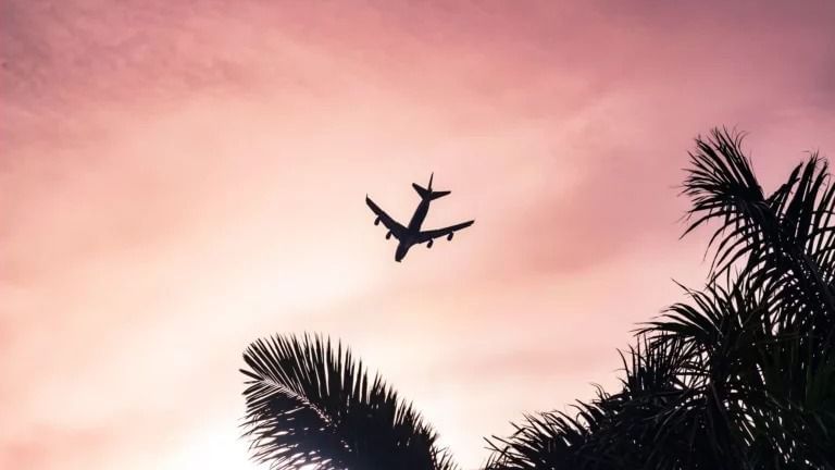 An aeroplane flying over palm trees against a vibrant sunset sky, capturing a tropical arrival.