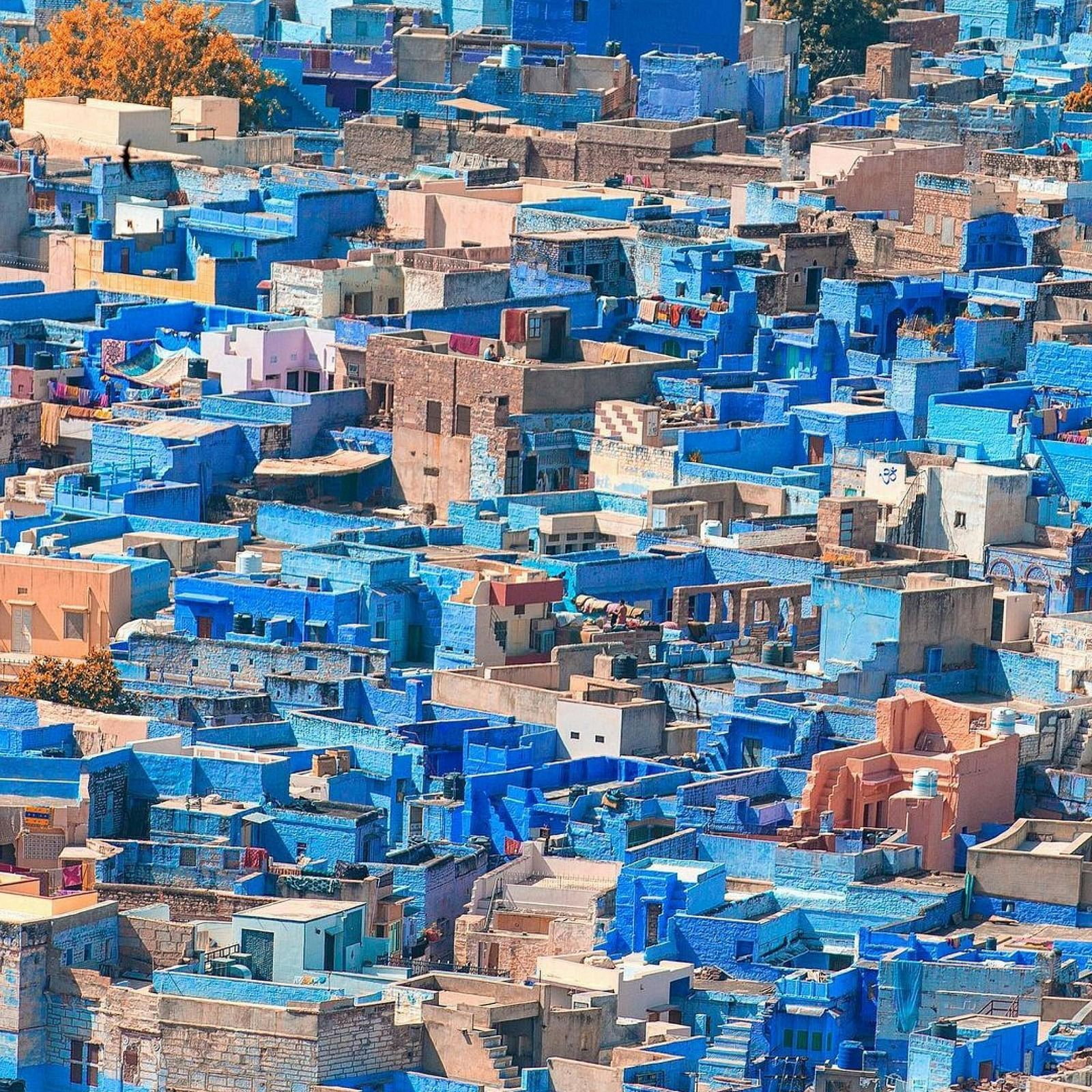 Aerial view of Jodhpur with building coloured in blue.