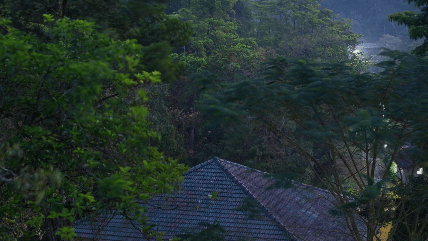 A mountain view features trees and a building in the distance.- Abad Brookside Lakkidi, Wayanad