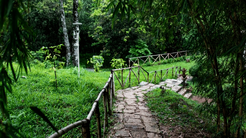 A stone pathway, surrounded by greenery and trees. - Abad Brookside Lakkidi, Wayanad