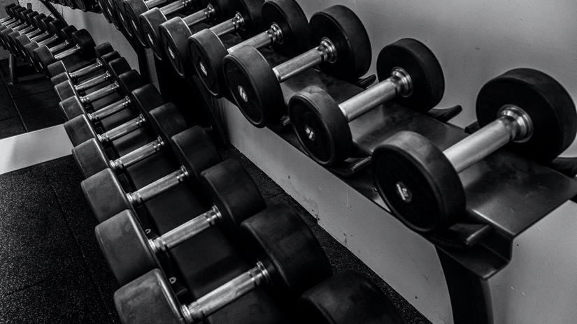 Gym area with rows of dumbbells placed on a rack.
