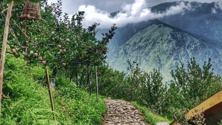 A rocky pathway with a lush greenery on one side and the other side overlooking the beautiful mountain ranges under a cloudy grey sky at Amara Upepo - The Sky Village, Manali.