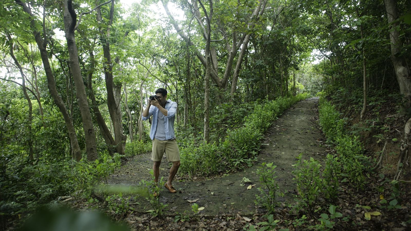 Person walking along a forest trail with trees on both sides at Flower Island Resort.
