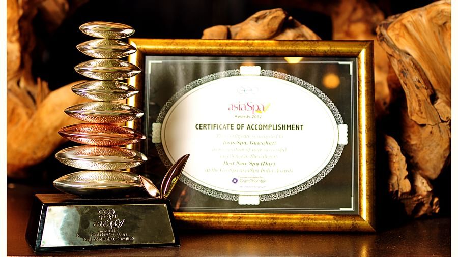 Close up image of a fancy award, and a framed award for IOSIS.