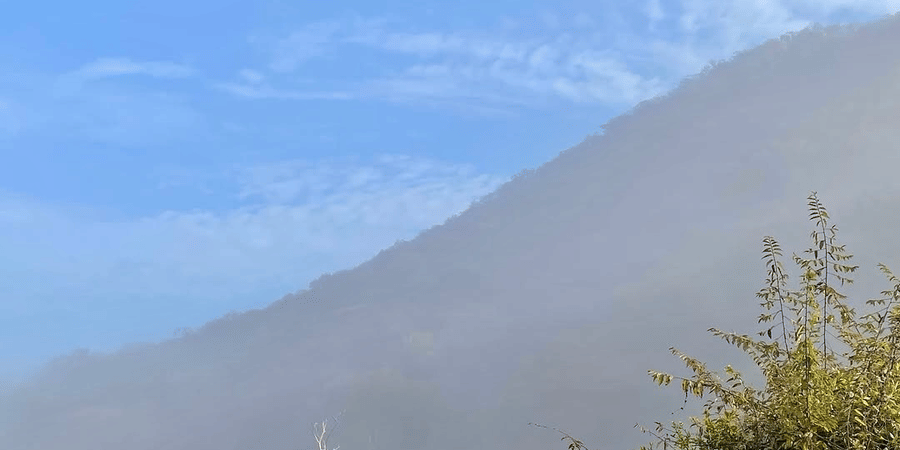 Sariska Safari - Guest Experience -2