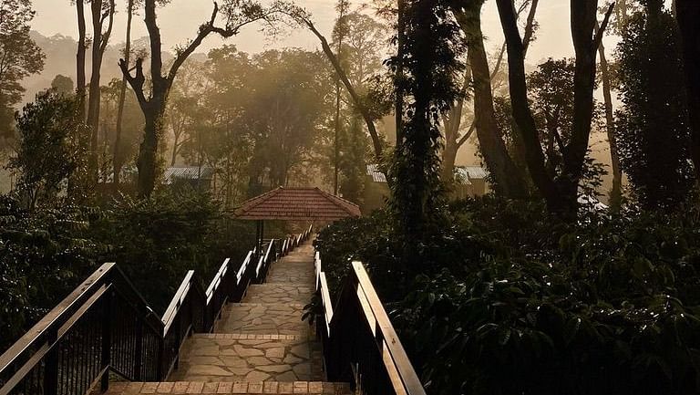 Sunset Walks at Machaan Wilderness Lodge