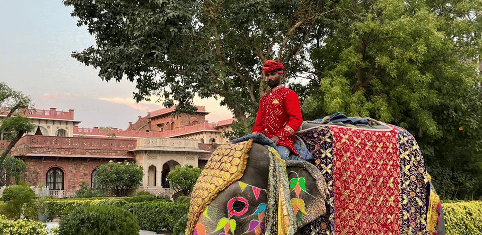A man dressed in traditional attire pose beside a decorated elephant on a lush green lawn - Khas Bagh Jaipur.