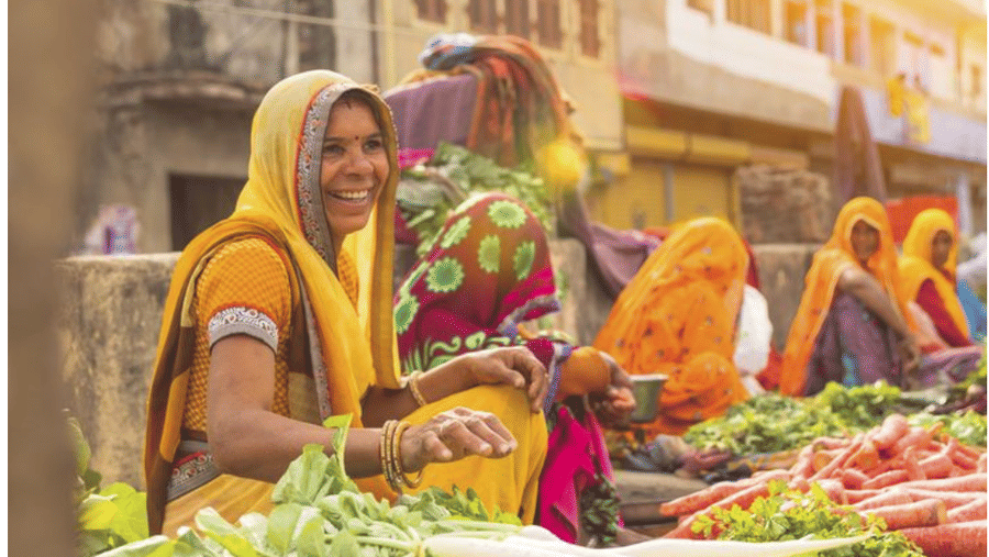 AJABGARH - LOCAL MARKET -Surya Bagh Ajabgarh - Experiences