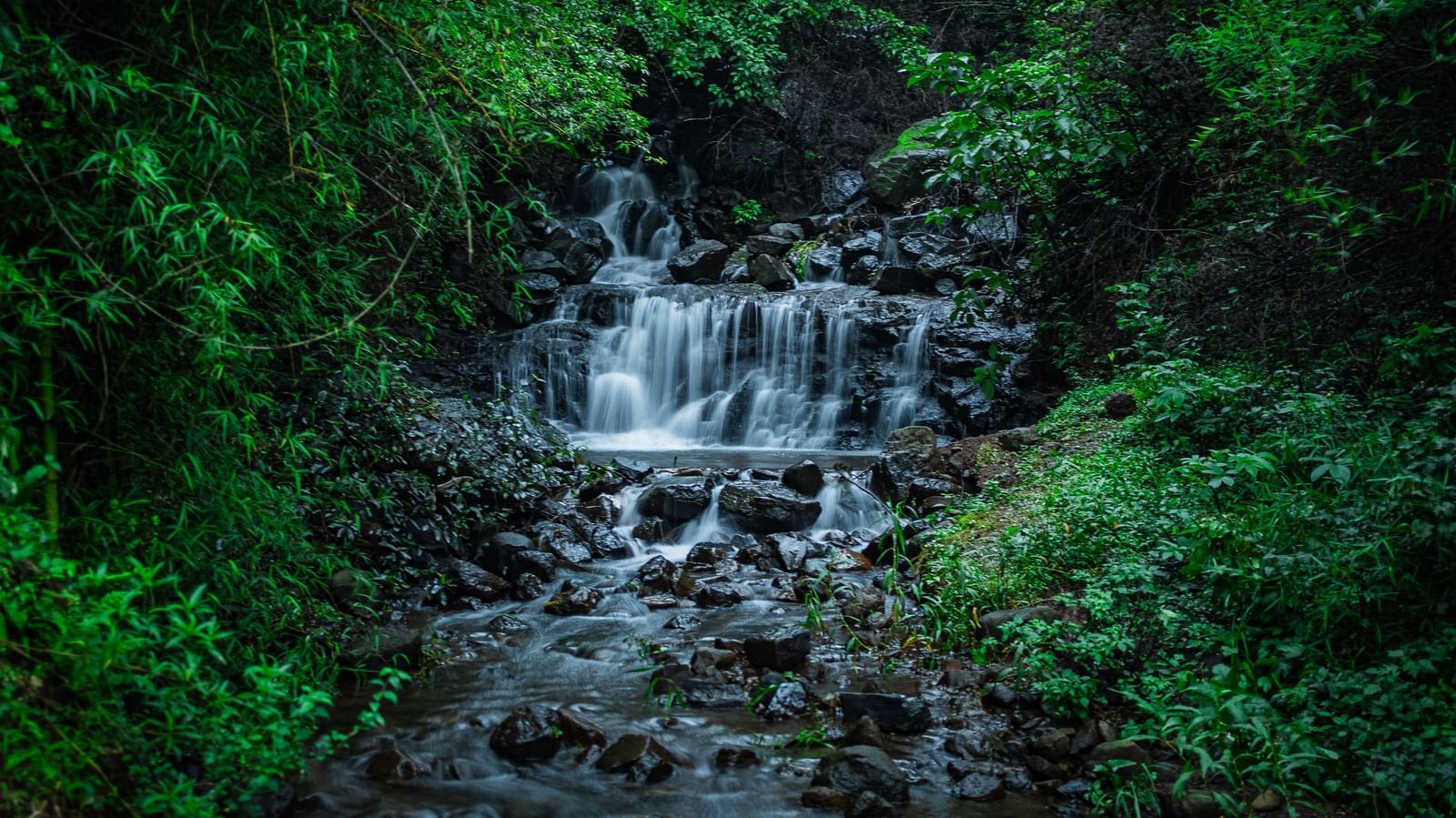 A close-up shot of a small stream with cascades of water flowing over mossy, dark rocks in a lush forest - Tranquil Piedmont Estates & Resort, Lonavala