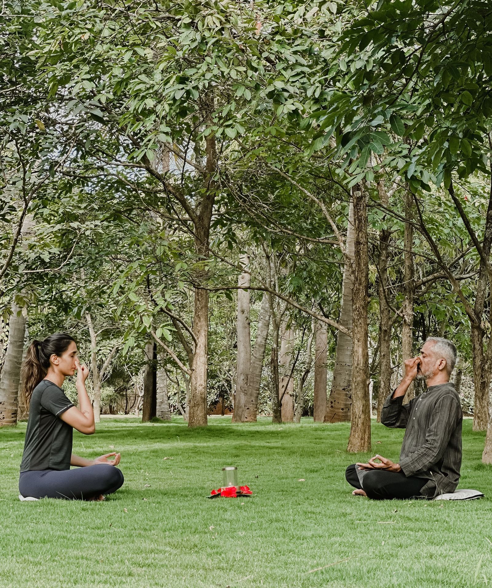 People doing yoga poses under trees, outdoor setting.