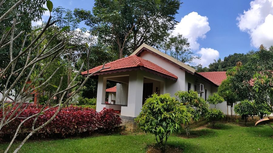 A single-story cottage with a red tiled roof and white walls surrounded by a lush garden with red-flowered shrubs, green lawns, and tall trees against a blue sky with fluffy clouds.