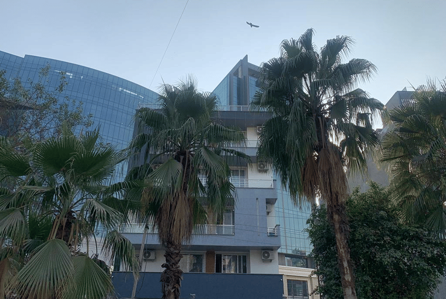 Palm trees in front of Lime Tree Hotel Near 32nd Avenue with a glass office tower behind