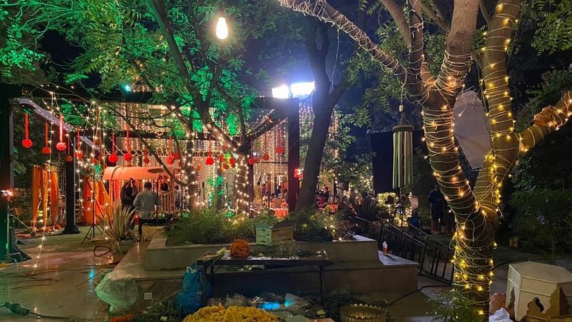 trees decorated with lights for an event at Karma Lakelands
