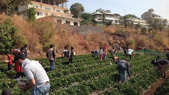 A small farm in front of a building where people are working - The Manor Luxury Hotel, Shimla