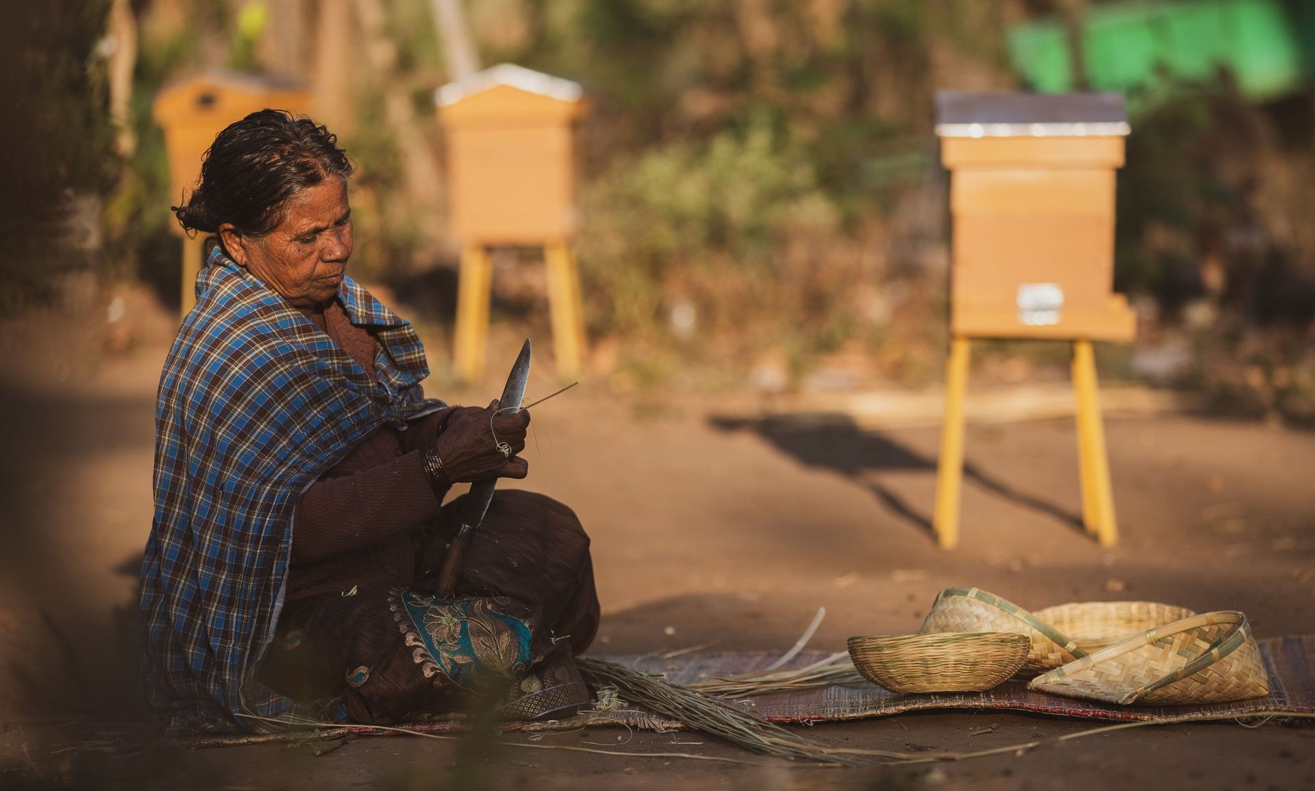 Jenu Kurubas woman with traditional beekeeping skills.