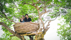 A couple sitting inside a large nest perched on a tree, surrounded by lush greenery - Black Thunder, Coimbatore