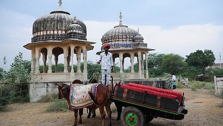 A man on a bullock cart passes ancient domed structures blending rural life with historical architecture.