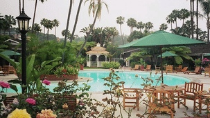 800px-Town and Country fh000023