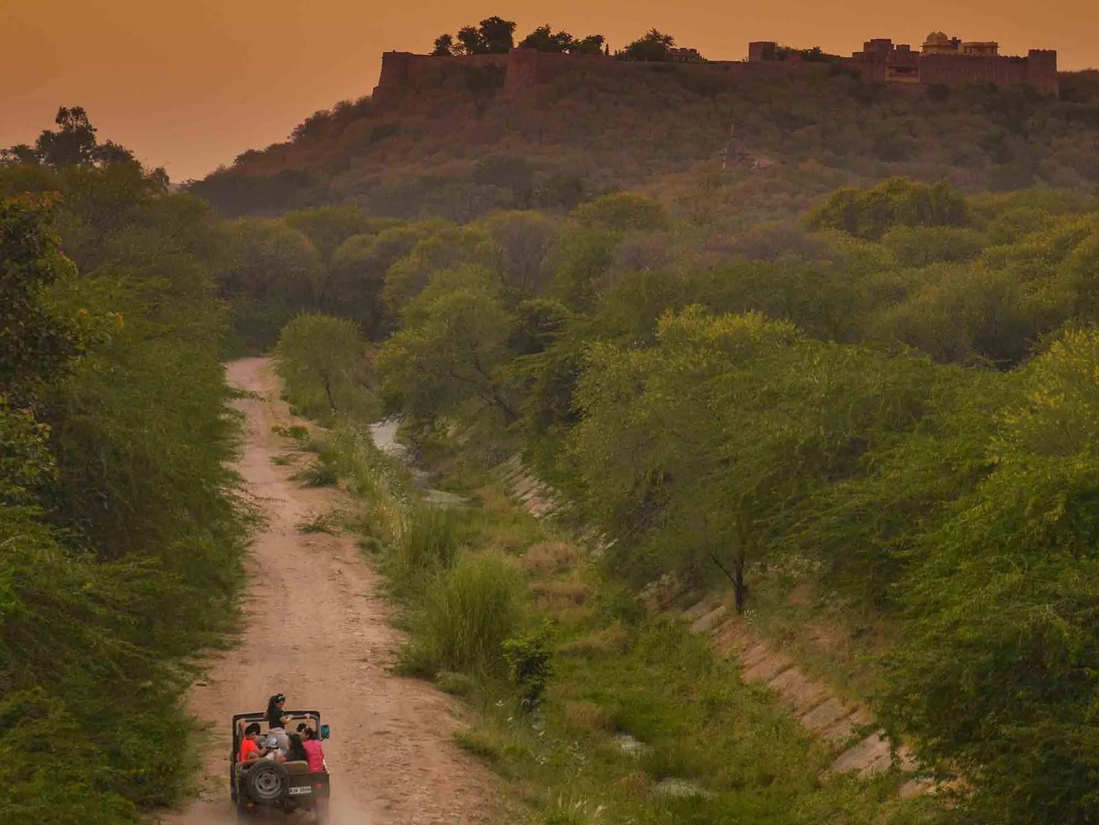 A drone shot of the Jeep Safari captured in the day time.